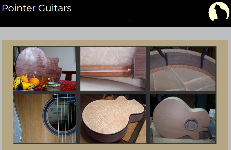 Pointer Guitars
